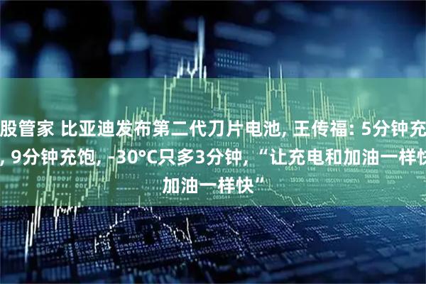 股管家 比亚迪发布第二代刀片电池, 王传福: 5分钟充好, 9分钟充饱, -30°C只多3分钟, “让充电和加油一样快”