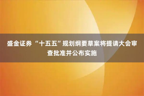 盛金证券 “十五五”规划纲要草案将提请大会审查批准并公布实施