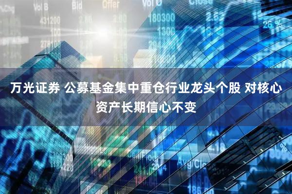 万光证券 公募基金集中重仓行业龙头个股 对核心资产长期信心不变