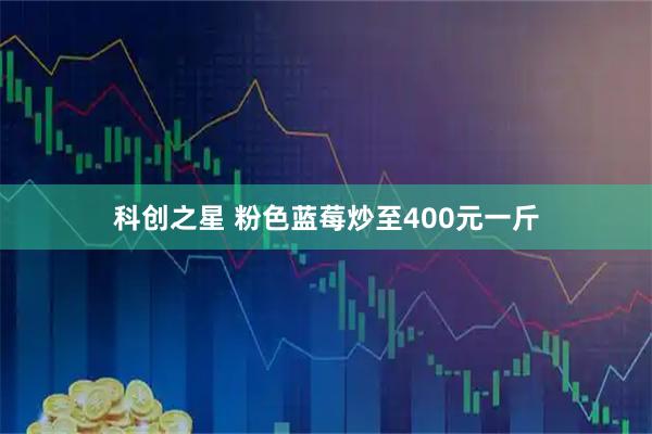 科创之星 粉色蓝莓炒至400元一斤