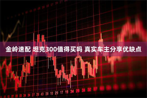 金岭速配 坦克300值得买吗 真实车主分享优缺点